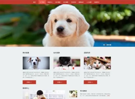 行业应用